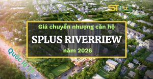 Giá chuyển nhượng căn hộ Sphus Riverview năm 2026